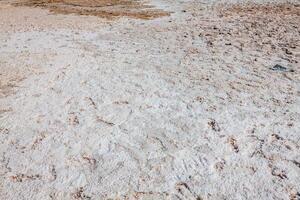 schott el djerid größte Salz- See im Norden Afrika Tunesien foto