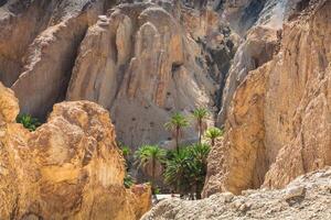 Berg Oase chebika beim Rand von Sahara, Tunesien, Afrika foto