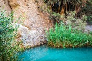 wenig Teich im chebika Oase beim Rand von Sahara, Tunesien, Afrika foto