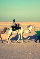 Beduinen führen Touristen auf Kamele beim kurz Tourist Tour um das Anfang damit namens Türen von Sahara Wüste foto