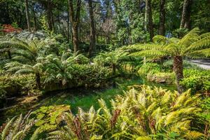 Garten von Eden Garten gelegen im Sintra, Portugal foto