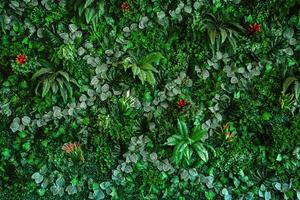 Sammlung von Grün Blätter auf Mauer zum Dekoration im ein Kaffee Geschäft. Grün Natur. Pflanze Hintergrund foto