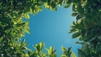 ai generiert Sonne leuchtenden durch Baum Blätter foto