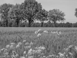 weske Dorf im Deutschland foto