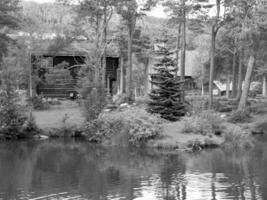 Schimmel in Norwegen foto