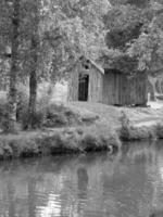 Schimmel in Norwegen foto