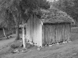 Schimmel in Norwegen foto