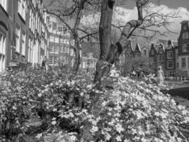 Frühling Zeit im Amsterdam foto