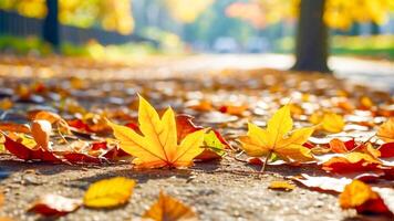 ai generiert schön abstrakt Herbst Blätter bunt Blätter im das Park, Herbst Blätter, Natur Hintergrund foto