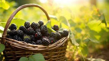 ai generiert Korb überfüllt mit rundlich, aromatisch Brombeeren foto