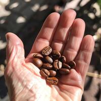 ai generiert geröstet schwarz Kaffee Bohnen auf Hand. foto
