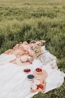 Picknick im das Wiese. Picknick Korb mit Erdbeeren, Blaubeeren, Stroh Hut und Decke. foto