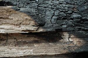 Holz Textur Hintergrund Verbrennung und drehen in Holz Holzkohle. Foto Konzept zum Wald Verbrennung, illegal Protokollierung verursachen Klima Veränderung