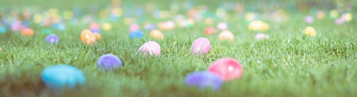 Plastik farbig Ostern Eier Verbreitung im ein grasig Feld zum Kind Ei jagen foto