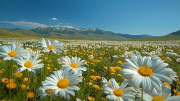 ai generiert voller Blumen Feld mit Berge im Hintergrund foto