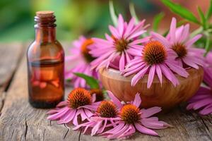 ai generiert Echinacea zum Homöopathie foto