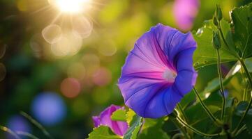 ai generiert Nahansicht von Blau und lila Morgen Ruhm Blumen und Laub. selektiv Fokus. foto