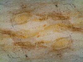 Oberfläche Rinde von Eukalyptus Baum. foto