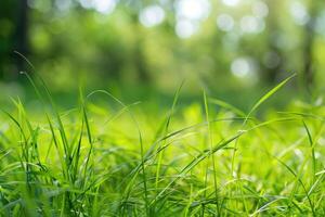 ai generiert beschwingt Grün Gras Klingen bedeckt im funkelnd Wasser Tröpfchen foto