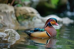 ai generiert Nahansicht von Mandarin Ente Schwimmen im Wasser foto