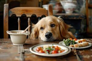 ai generiert Aussicht von Hund mit Lebensmittel. foto