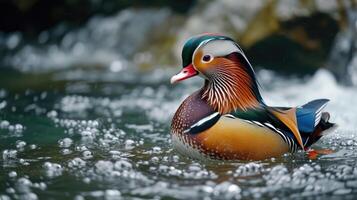 ai generiert Nahansicht von Mandarin Ente Schwimmen im Wasser foto