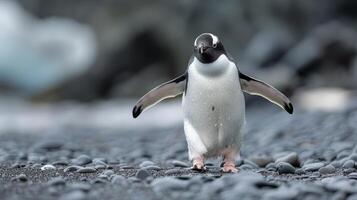 ai generiert Pinguin Stehen auf Felsen und Wasser foto