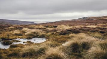 ai generiert ein Fernbedienung Landschaft wo das Wind eilt Über das Fernbedienung Moor foto