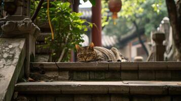 ai generiert Katze entspannend auf Treppe mit ein Baum hinter Es, im das Stil von Buddhist Kunst und die Architektur. foto