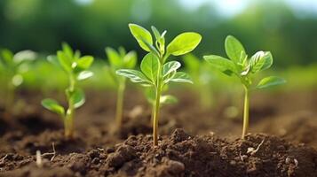 ai generiert Apfel Baum Sämlinge mit entstehenden Knospen und Blätter foto