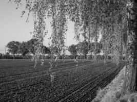 weske im Westfalen foto