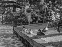 Enkhuizen in den Niederlanden foto