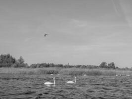 Enkhuizen in den Niederlanden foto