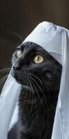 ai generiert ein schwarz Katze tragen Weiß Kufi Deckel, islamisch Hintergrund, eid Mubarak foto