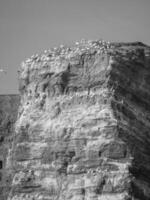 Helgoland Insel Deutschland foto