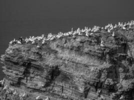 die insel helgoland foto