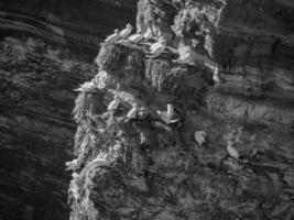 die insel helgoland foto