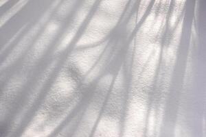 Schatten von das Sträucher und Bäume im frisch Weiß Schnee von das Sonne foto