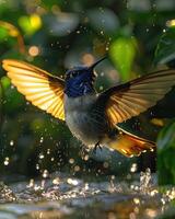 ai generiert ein sehr schön Kolibri in der Nähe von das Fluss foto