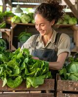 ai generiert weiblich Farmer pflücken cos Grüner Salat von ein hölzern Gemüse Container foto