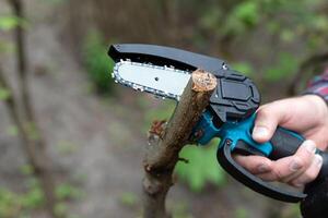 Hand hält Licht Kette sah mit Batterie zu trimmen gebrochen Ast von ein Baum, im sonnig Tag foto