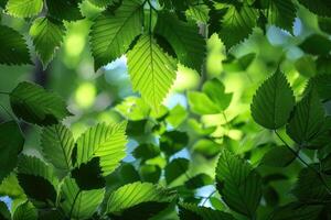 ai generiert hell Frühling Grün Natur Fachmann Fotografie foto