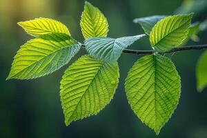 ai generiert hell Frühling Grün Natur Fachmann Fotografie foto