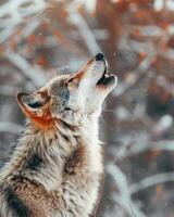 ai generiert Wolf Heulen im Natur foto