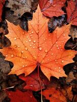 ai generiert einer lebendig Herbst bunt Ahorn Blatt im rot und Gelb Farben. Blatt Farbe trocken Park schließen Illustration Wald Herbst, natürlich Jahreszeit, draussen Garten Blatt Farbe trocken Park schließen foto