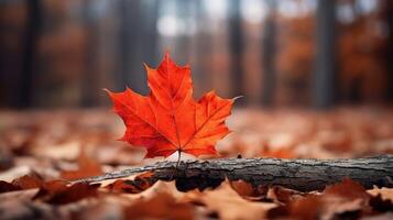 ai generiert einer lebendig Herbst bunt Ahorn Blatt im rot und Gelb Farben. Blatt Farbe trocken Park schließen Illustration Wald Herbst, natürlich Jahreszeit, draussen Garten Blatt Farbe trocken Park schließen foto