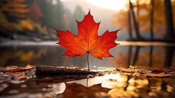 ai generiert einer lebendig Herbst bunt Ahorn Blatt im rot und Gelb Farben. Blatt Farbe trocken Park schließen Illustration Wald Herbst, natürlich Jahreszeit, draussen Garten Blatt Farbe trocken Park schließen foto