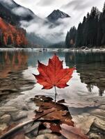 ai generiert einer lebendig Herbst bunt Ahorn Blatt im rot und Gelb Farben. Blatt Farbe trocken Park schließen Illustration Wald Herbst, natürlich Jahreszeit, draussen Garten Blatt Farbe trocken Park schließen foto