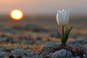 ai generiert schön Natur Frühling mit Blumen Fachmann Fotografie foto