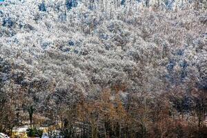 Winter im das Alpen. schön Aussicht von Berg Bereiche mit schneebedeckt Bäume im salzburg im Österreich. foto